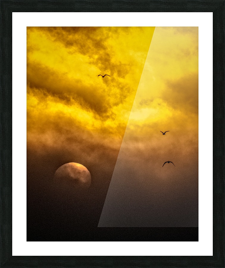 FS140928V Picture Frame print