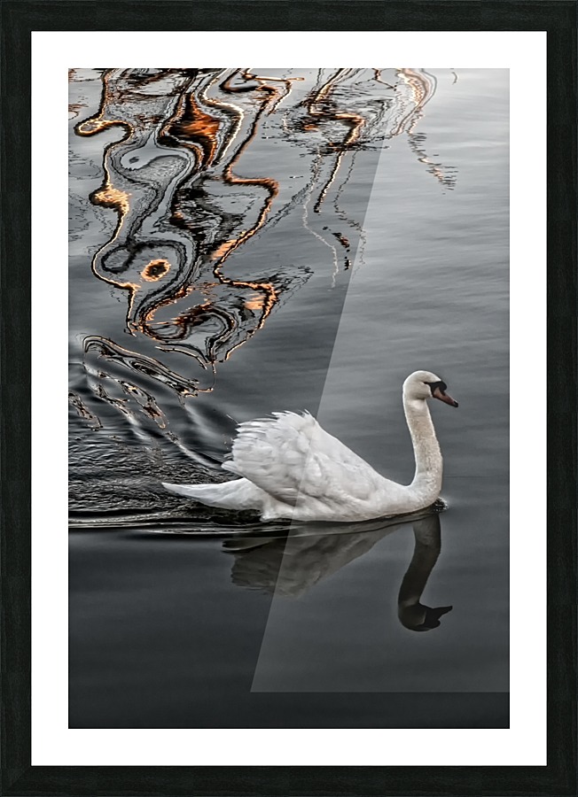 FS160222 Picture Frame print