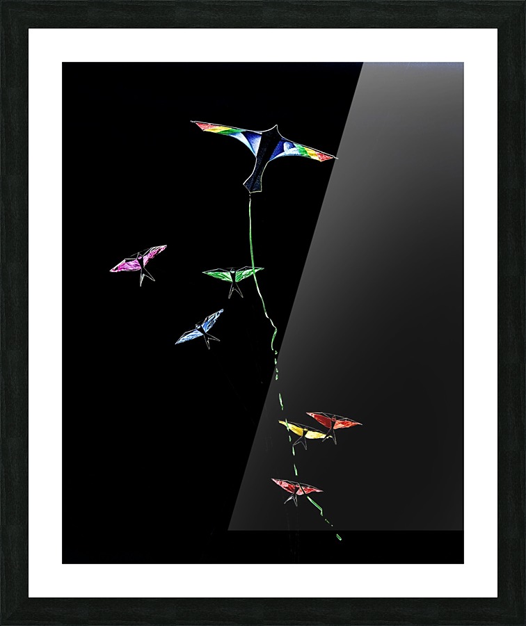 FS160325P Picture Frame print