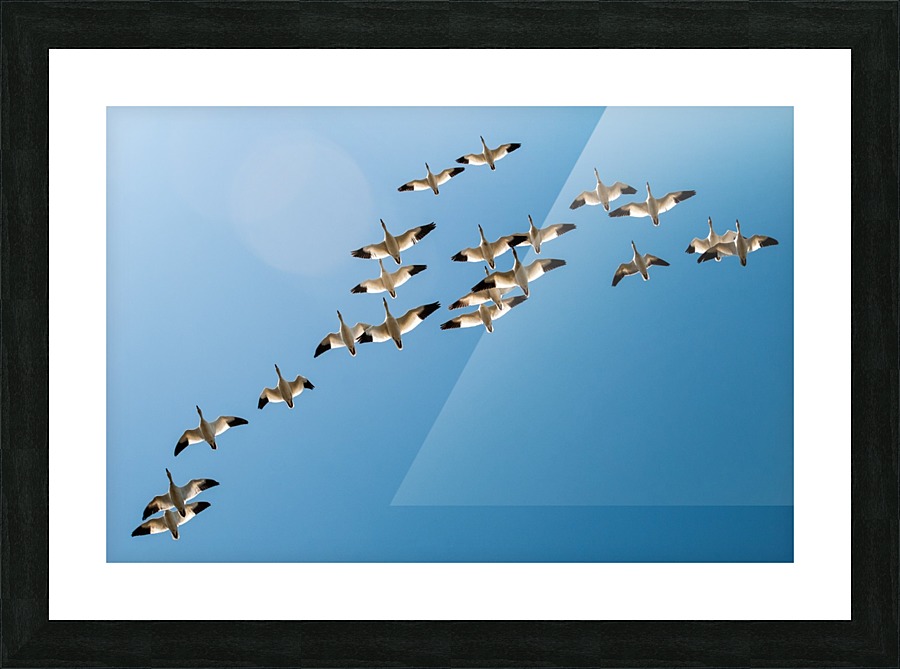 FS 130433 Picture Frame print