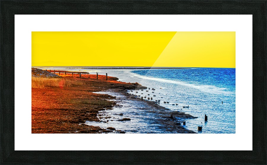 FS190301DW Picture Frame print