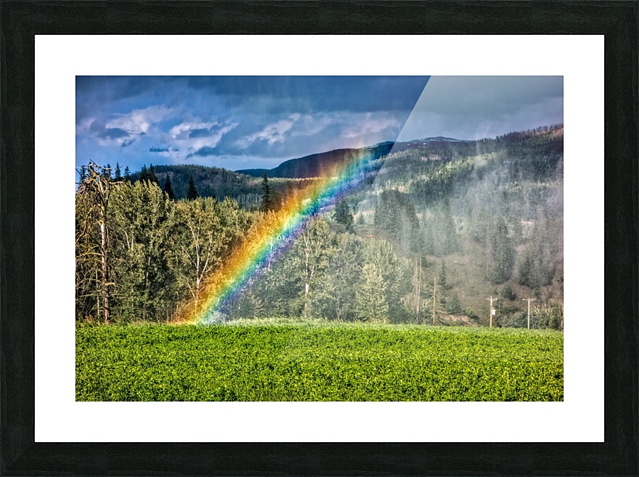 FS180626E Picture Frame print