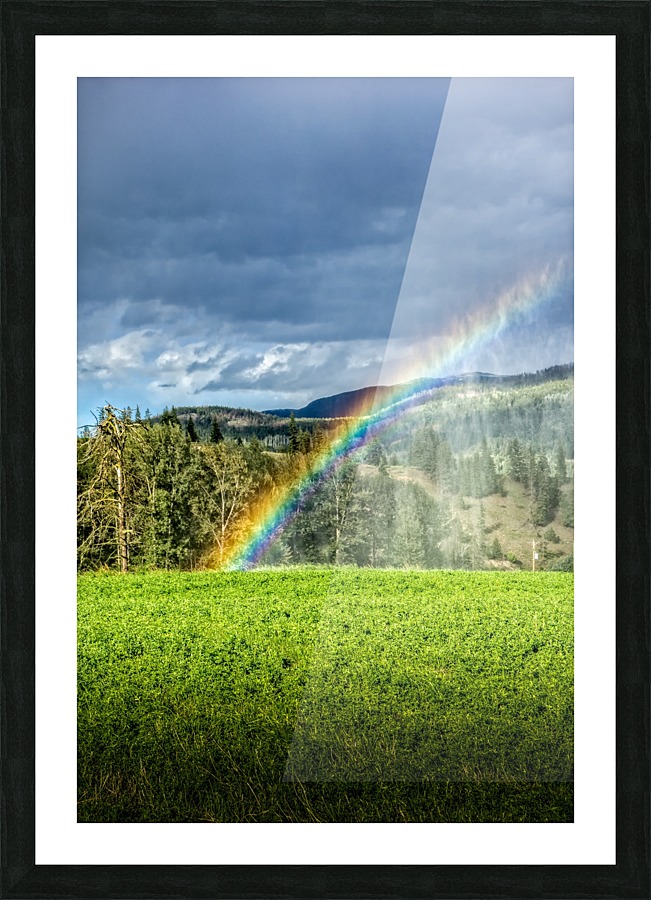 FS180626F Picture Frame print