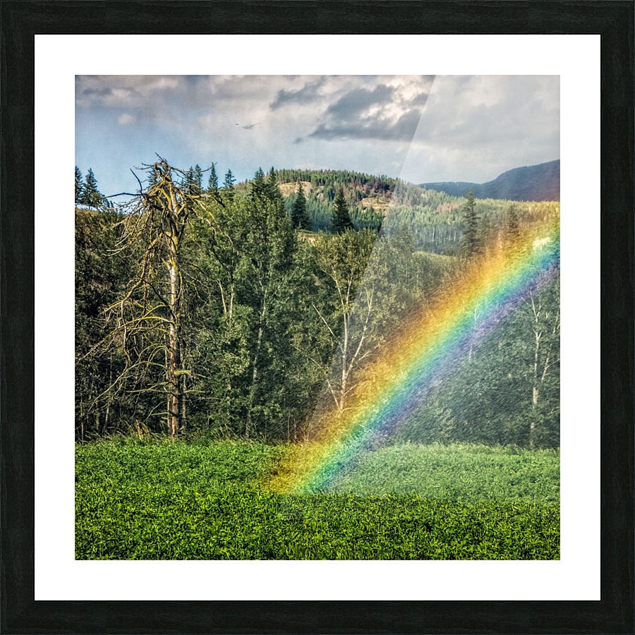 FS180626SS Picture Frame print