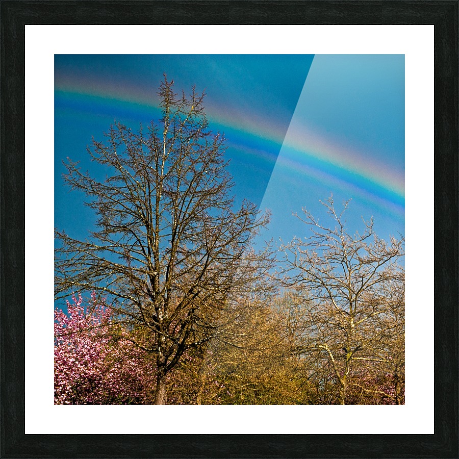 FS100415S Picture Frame print