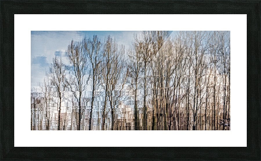 FS190313DW2 Picture Frame print