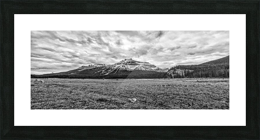 FS121007 BW Picture Frame print