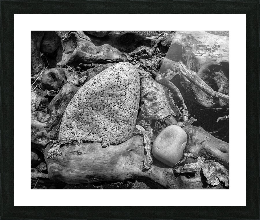 FS 110736 Picture Frame print
