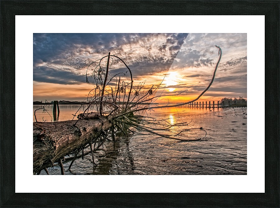 FS150326EE Picture Frame print
