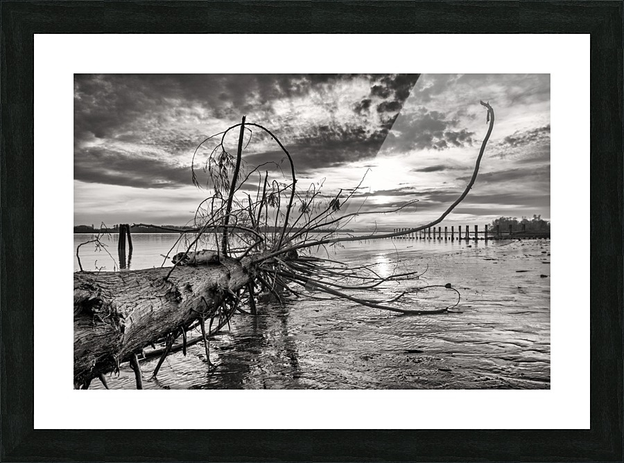 FS 150333 Picture Frame print