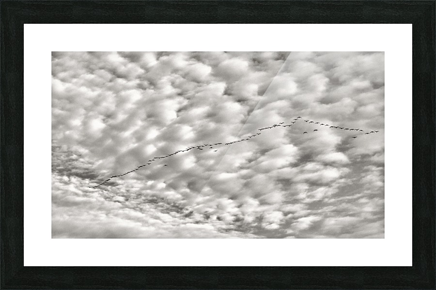FS 130168 Picture Frame print