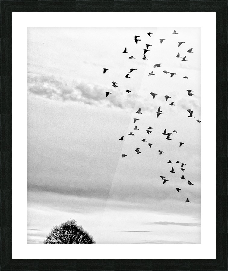 FS160277B Picture Frame print