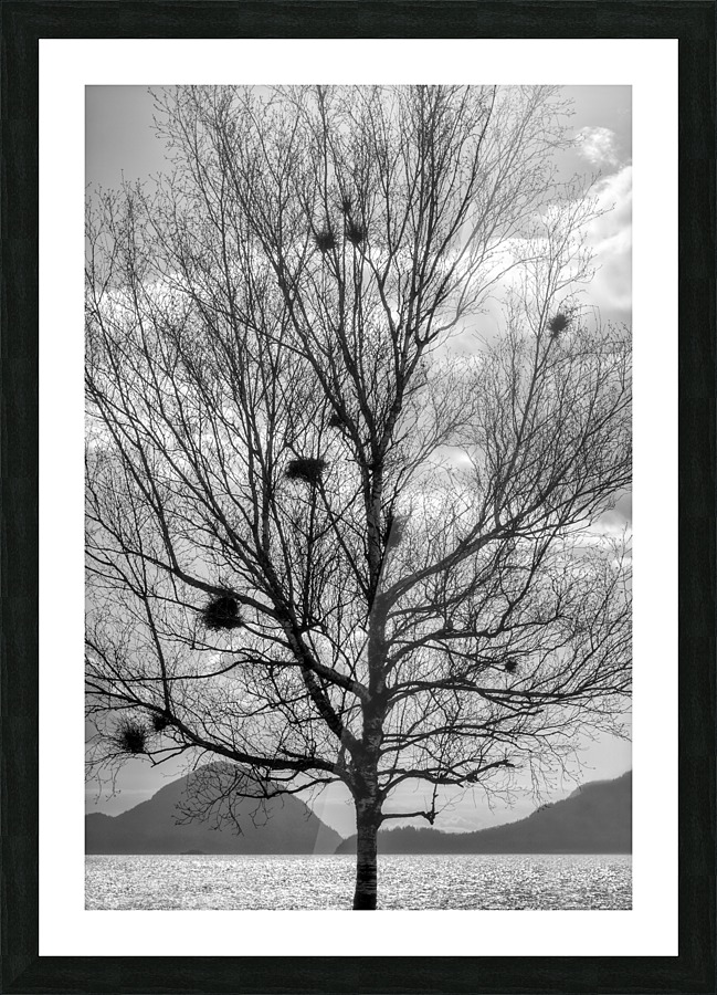 FS130323BW Picture Frame print