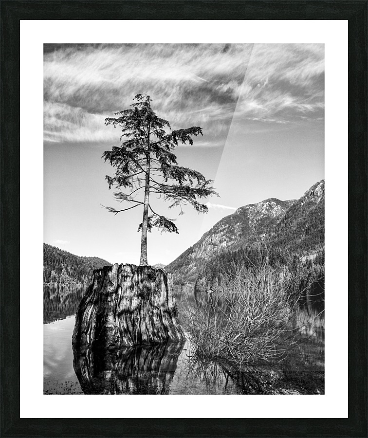 20130219_111 Edit Picture Frame print