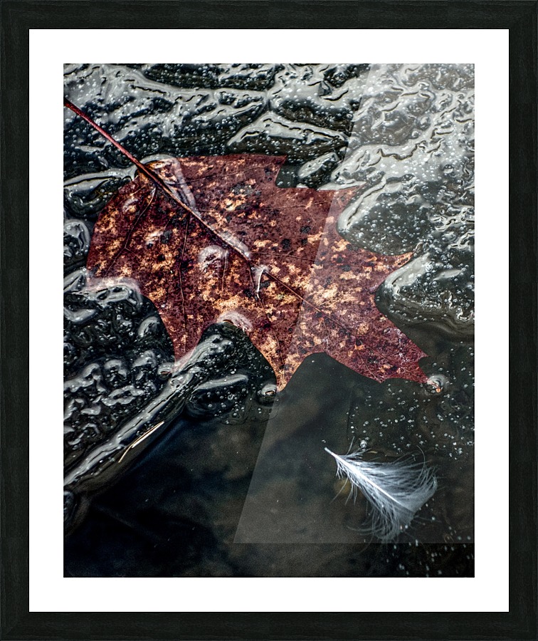 FS 140214H Picture Frame print