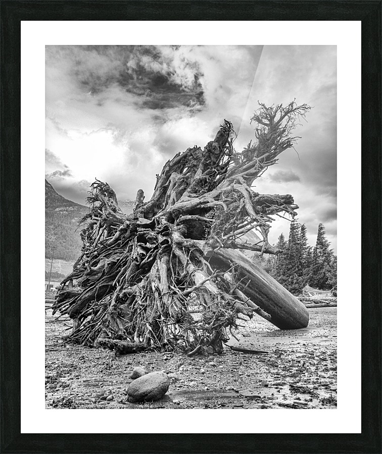 FS 130680 Picture Frame print