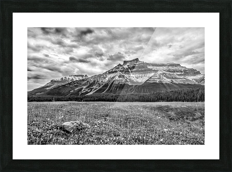 FS121007HH Picture Frame print