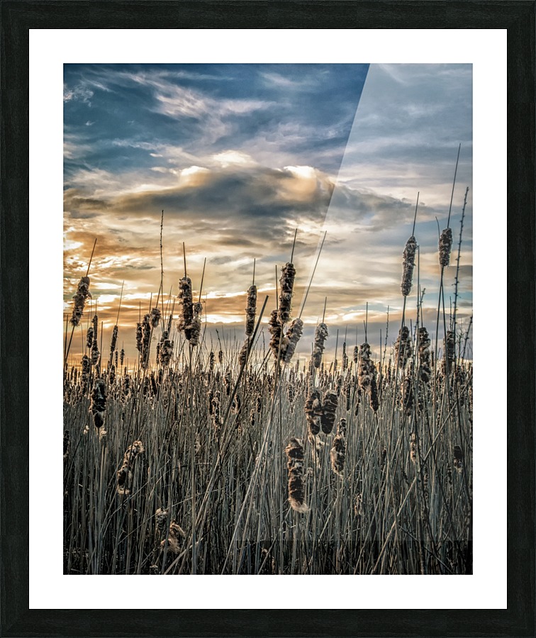 FS160424 Picture Frame print