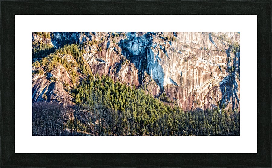 FS180114BR Picture Frame print