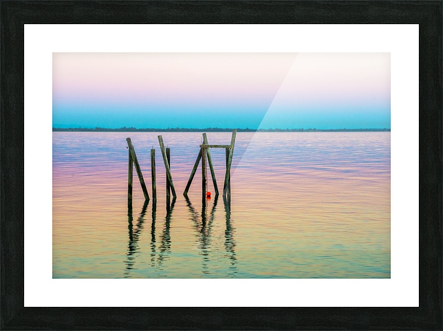 FS170730R Picture Frame print