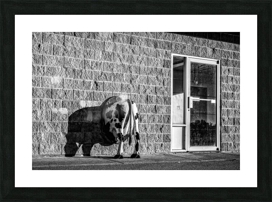 FS190113BW Picture Frame print