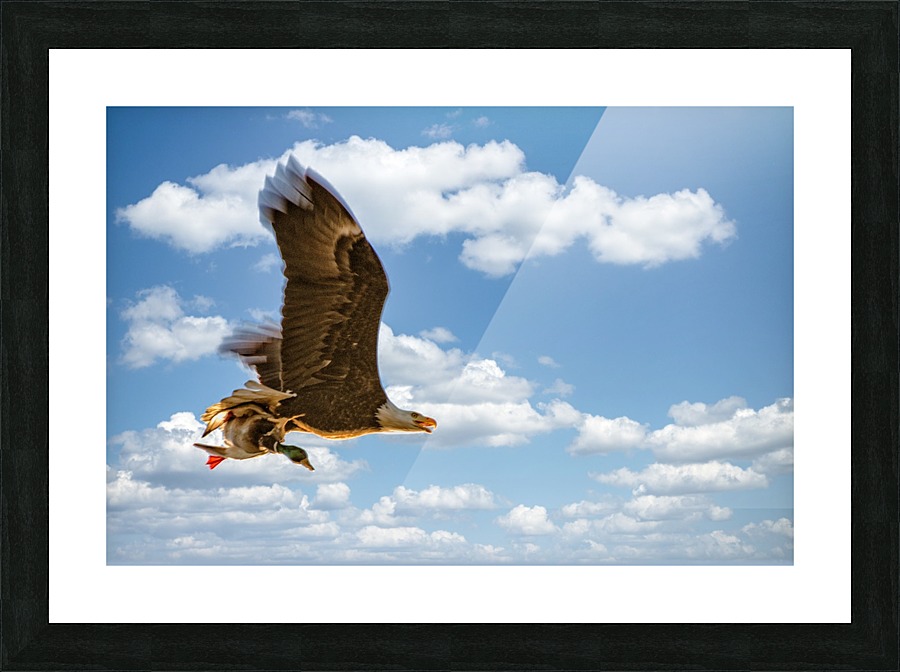 FS190317EE Picture Frame print