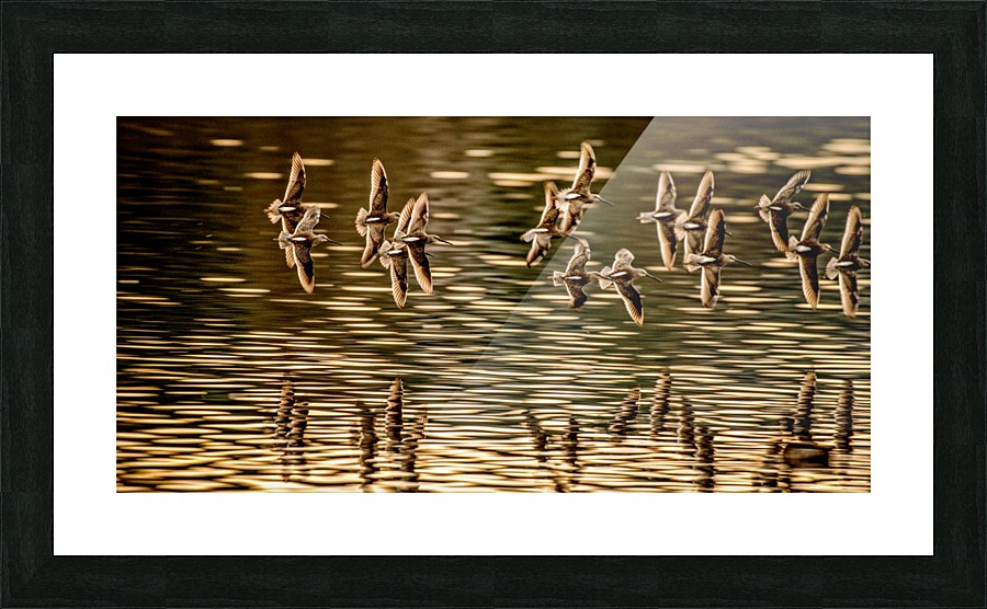 FS200221G Picture Frame print