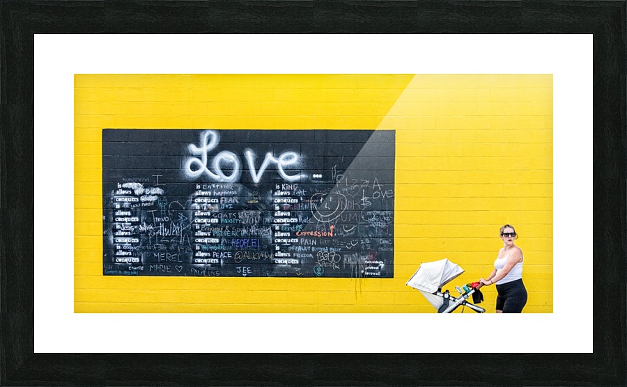 FS200803 Picture Frame print