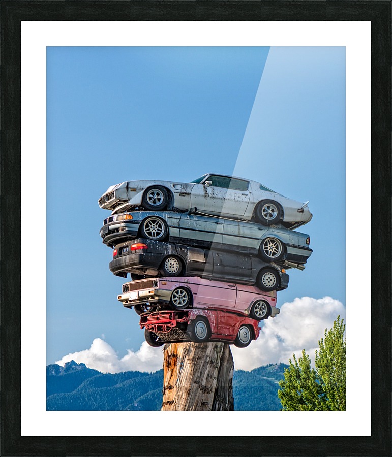 FS190719CA Picture Frame print