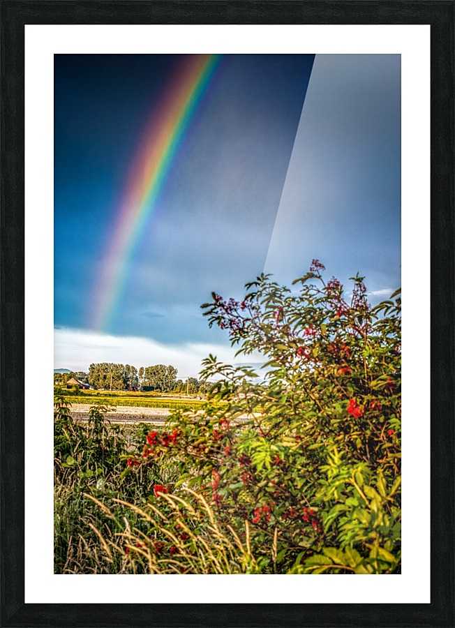 FS160617R Picture Frame print
