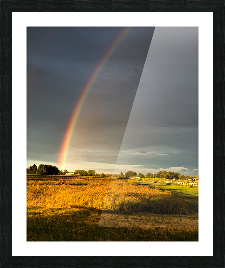 FS160617AA Picture Frame print