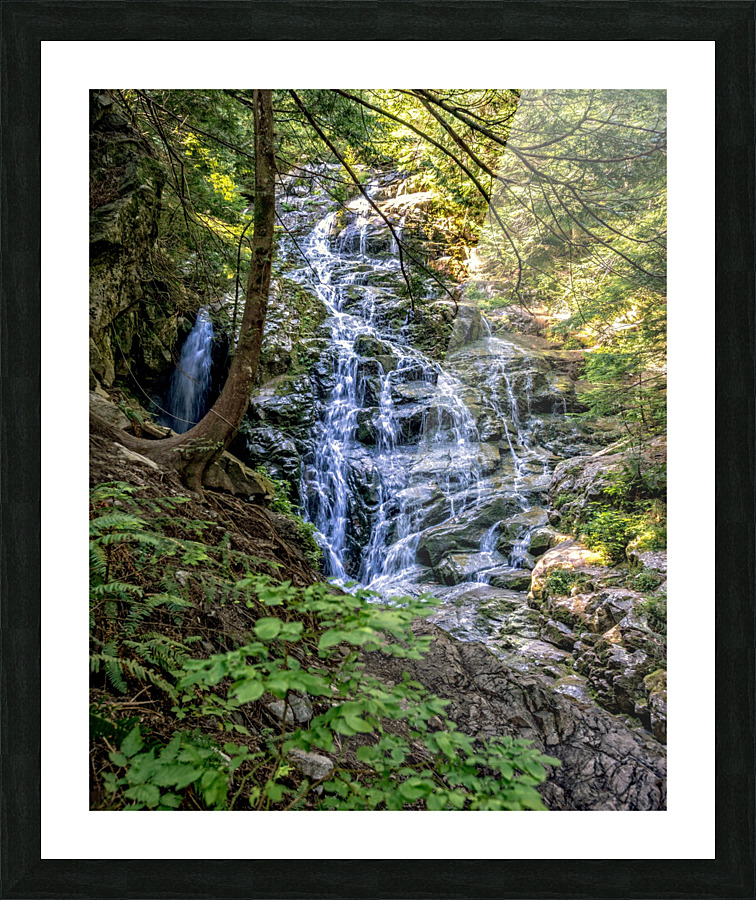 FS200829H Picture Frame print