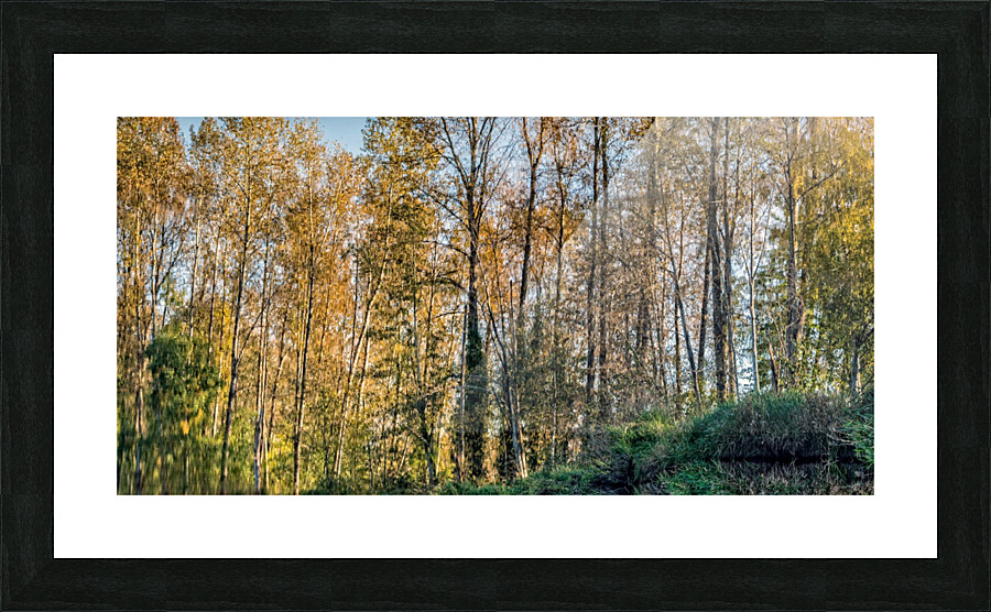 FS201026DW Picture Frame print