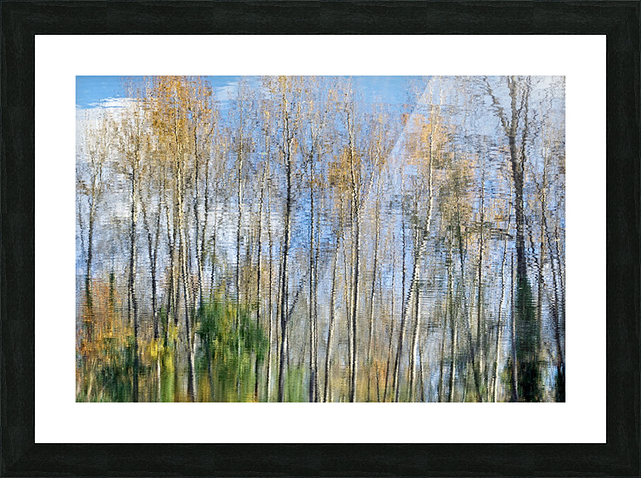 FS201107R Picture Frame print