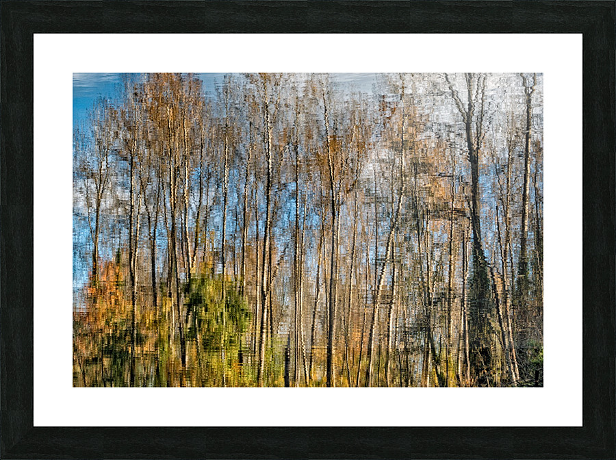 FS201107 3 Picture Frame print