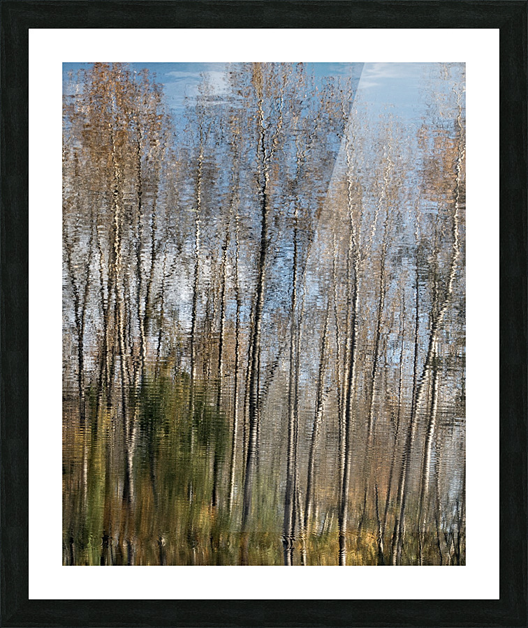 FS201107H Picture Frame print