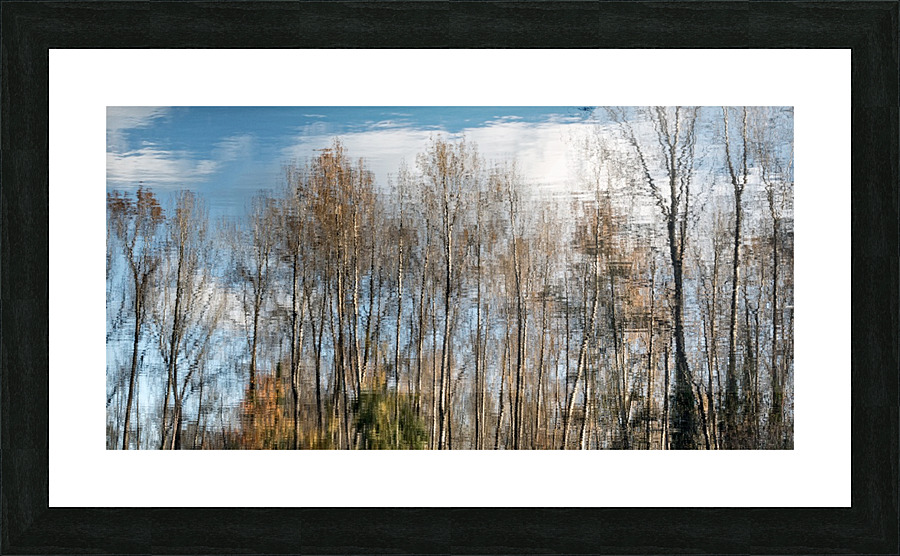 FS201107DW2 Picture Frame print