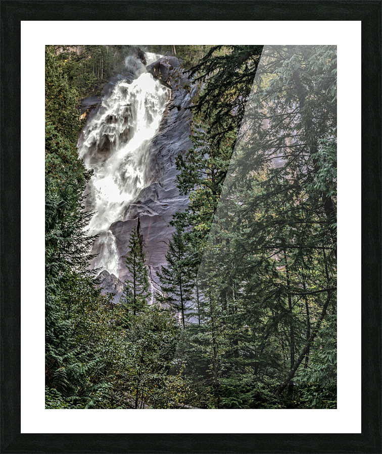 FS201012SH Picture Frame print