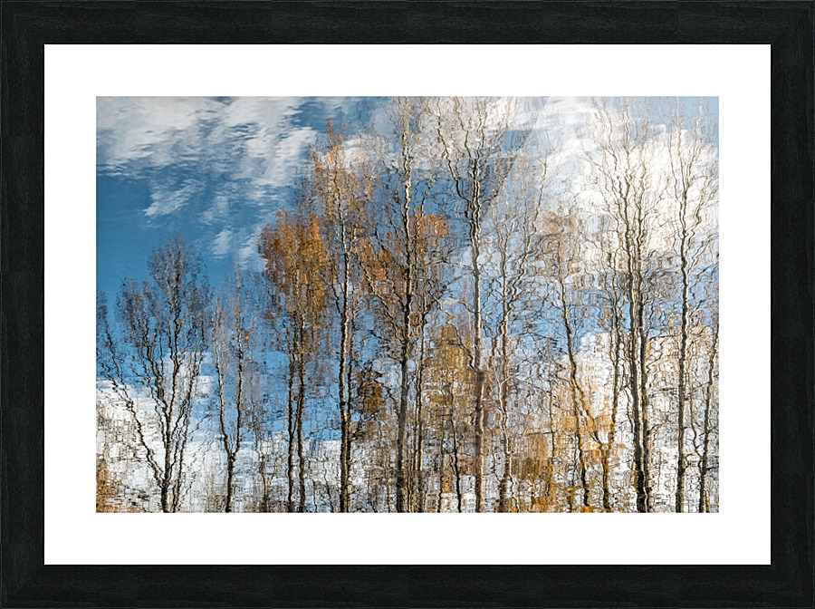 FS201107 2 Picture Frame print