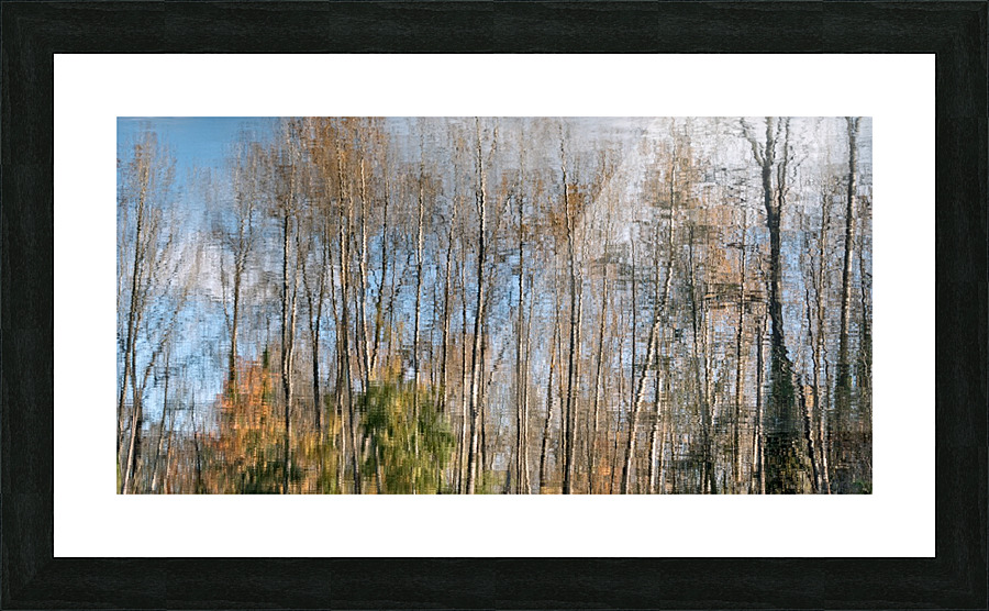 FS201107DW Picture Frame print