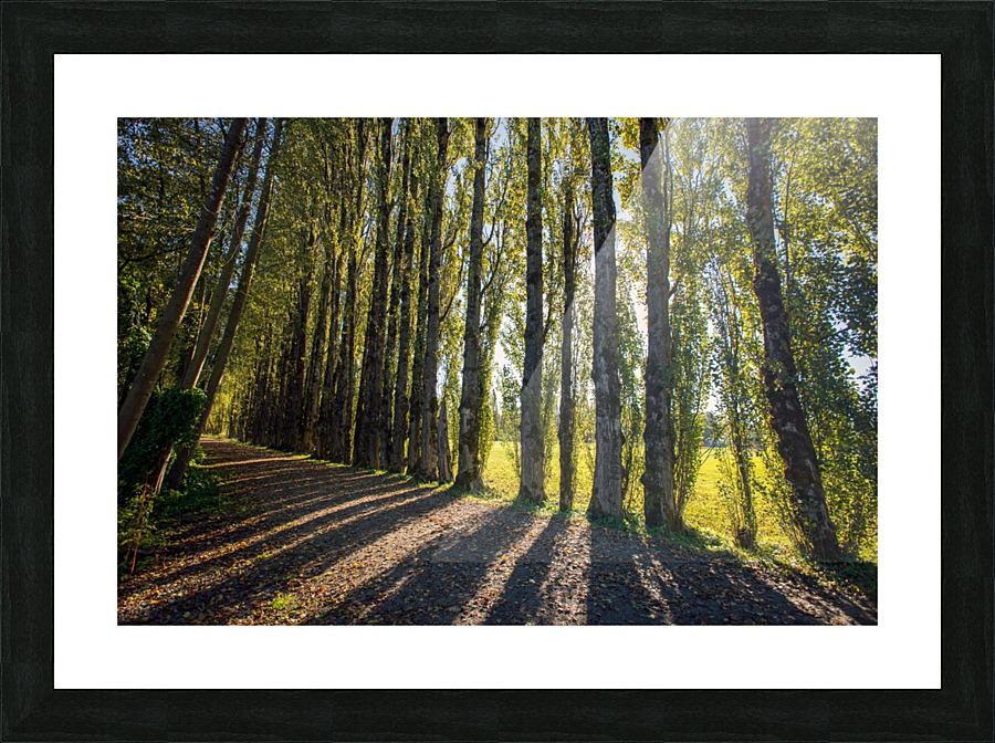 FS200928H Picture Frame print