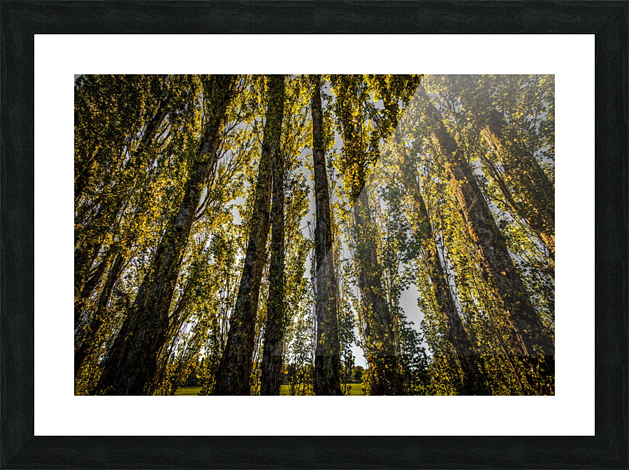 FS200928E Picture Frame print