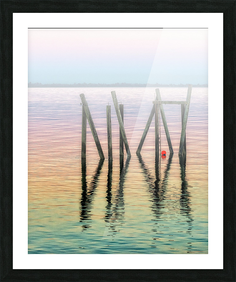 FS170730FH Picture Frame print