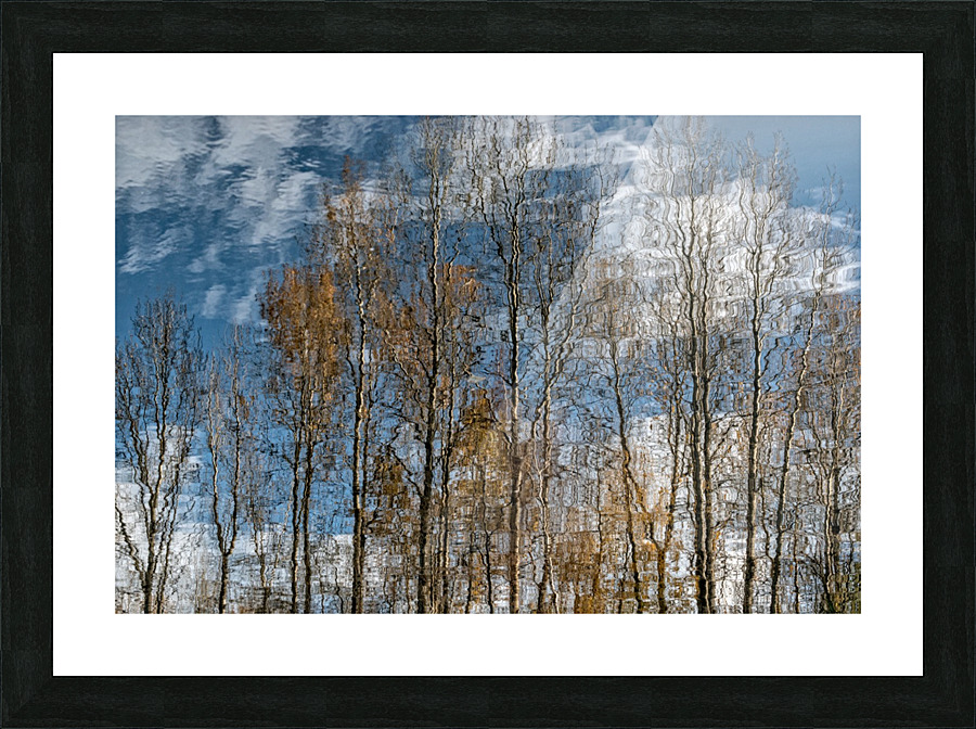 FS201107 8 Picture Frame print