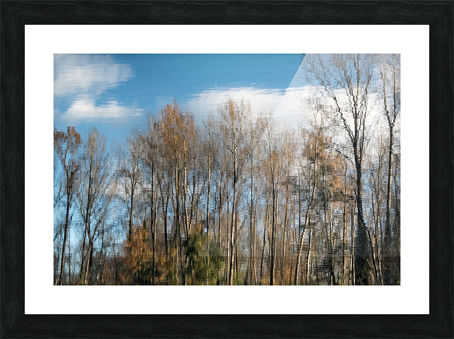 FS201107 4 Picture Frame print