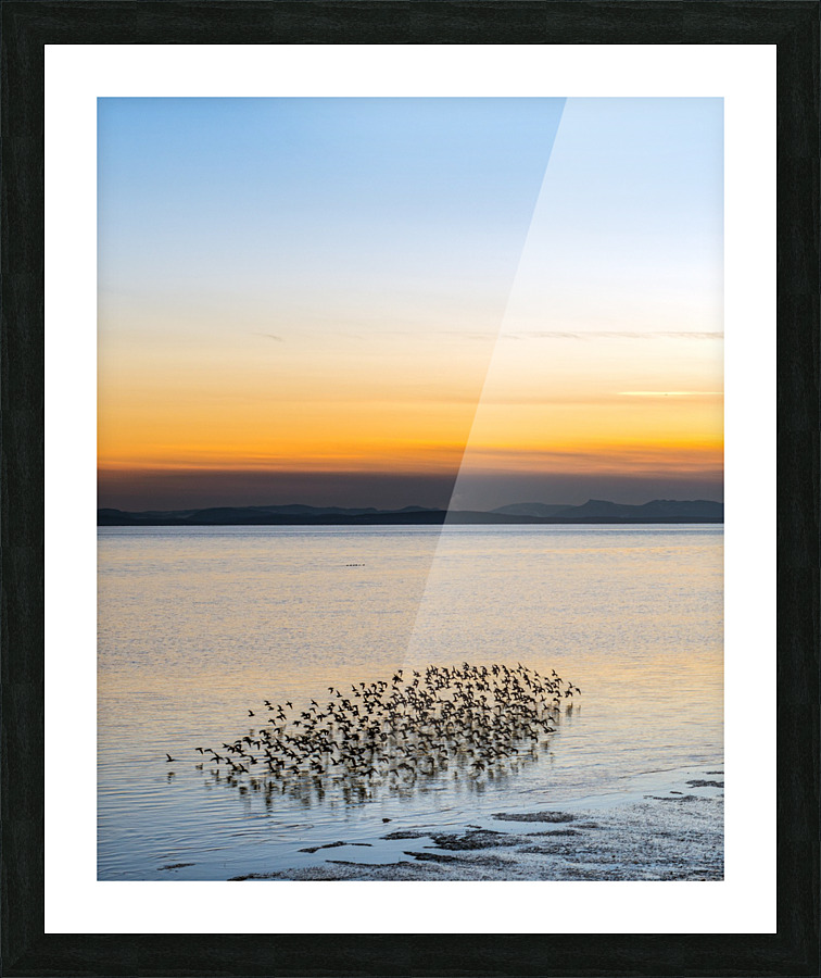 FS171223H Picture Frame print