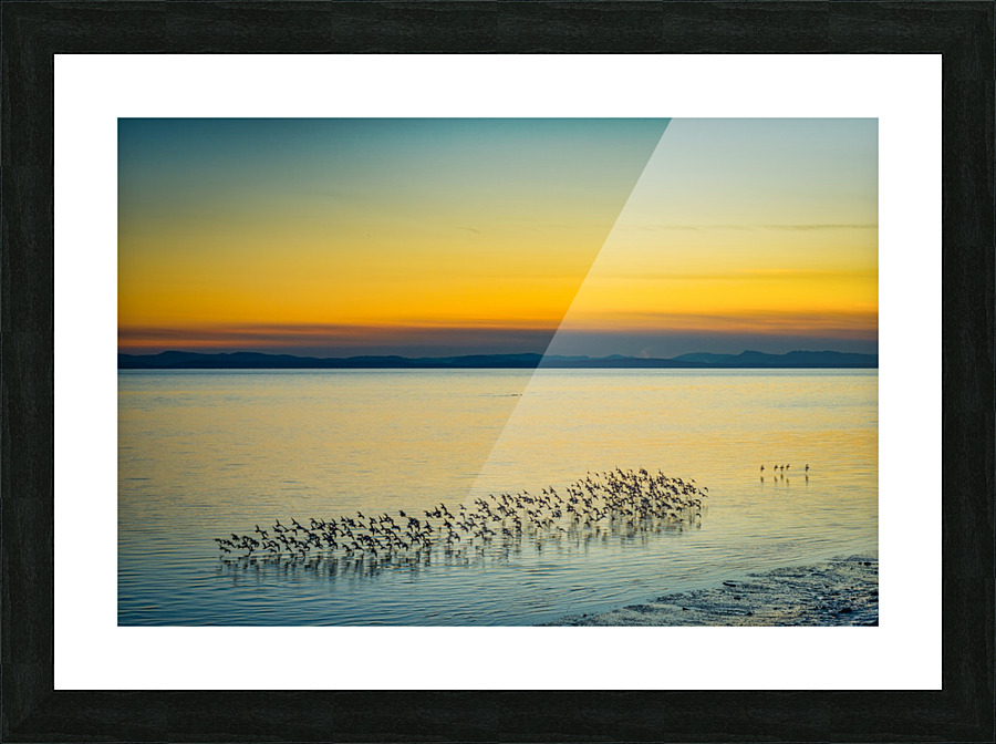 FS171223 9 Picture Frame print