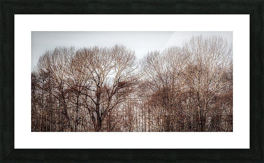 FS170105DW Picture Frame print