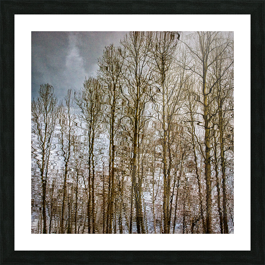 FS170228S3 Picture Frame print
