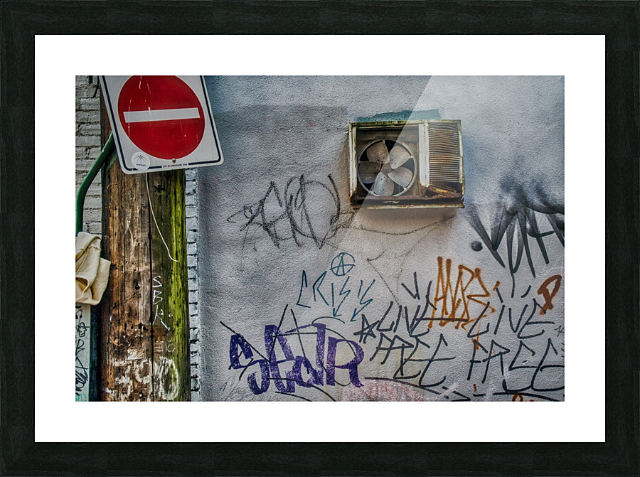 FS050623 Picture Frame print